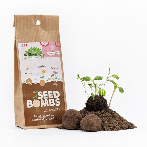 Seedbombs Wildblumen