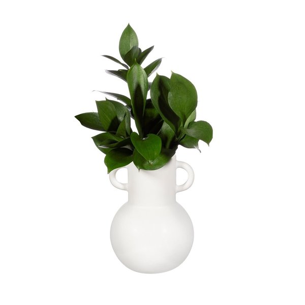 Small Amphora Vase - weiß