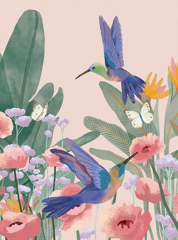 Postkarte - "Kolibri"