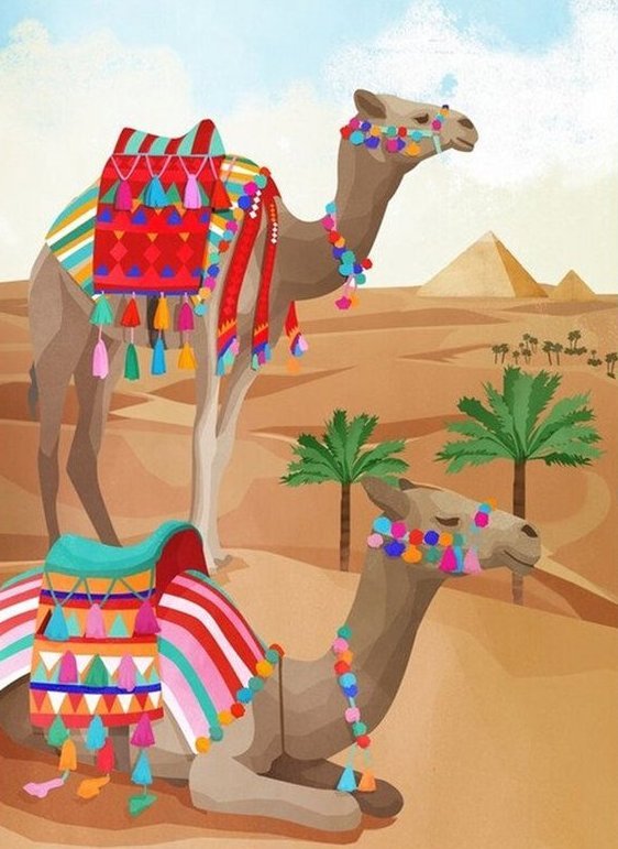 Postkarte - "Wüstenschiff" Kamel